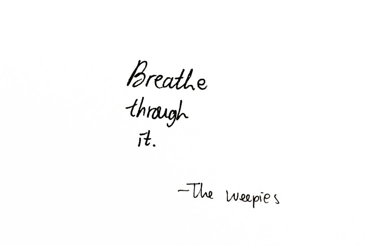 Photo 6-26-15, 01 19 18