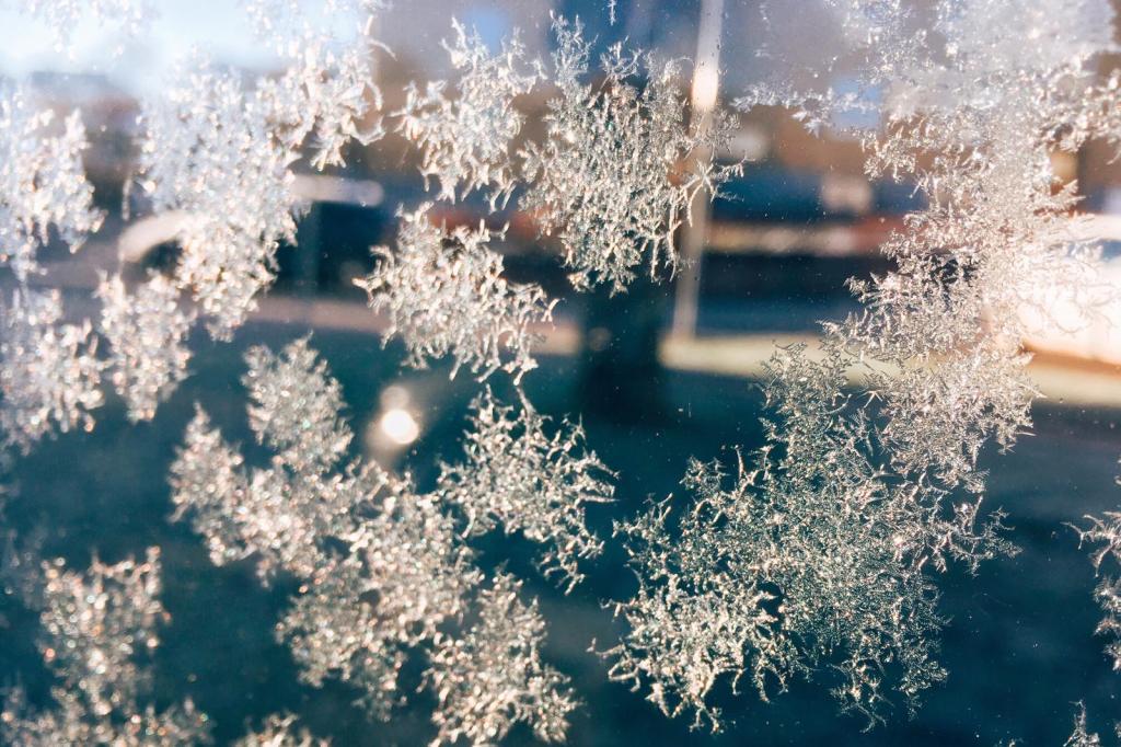 Early 2020 Journal: Coronavirus, Mild Winter, and Book&nbsp;Recommendations