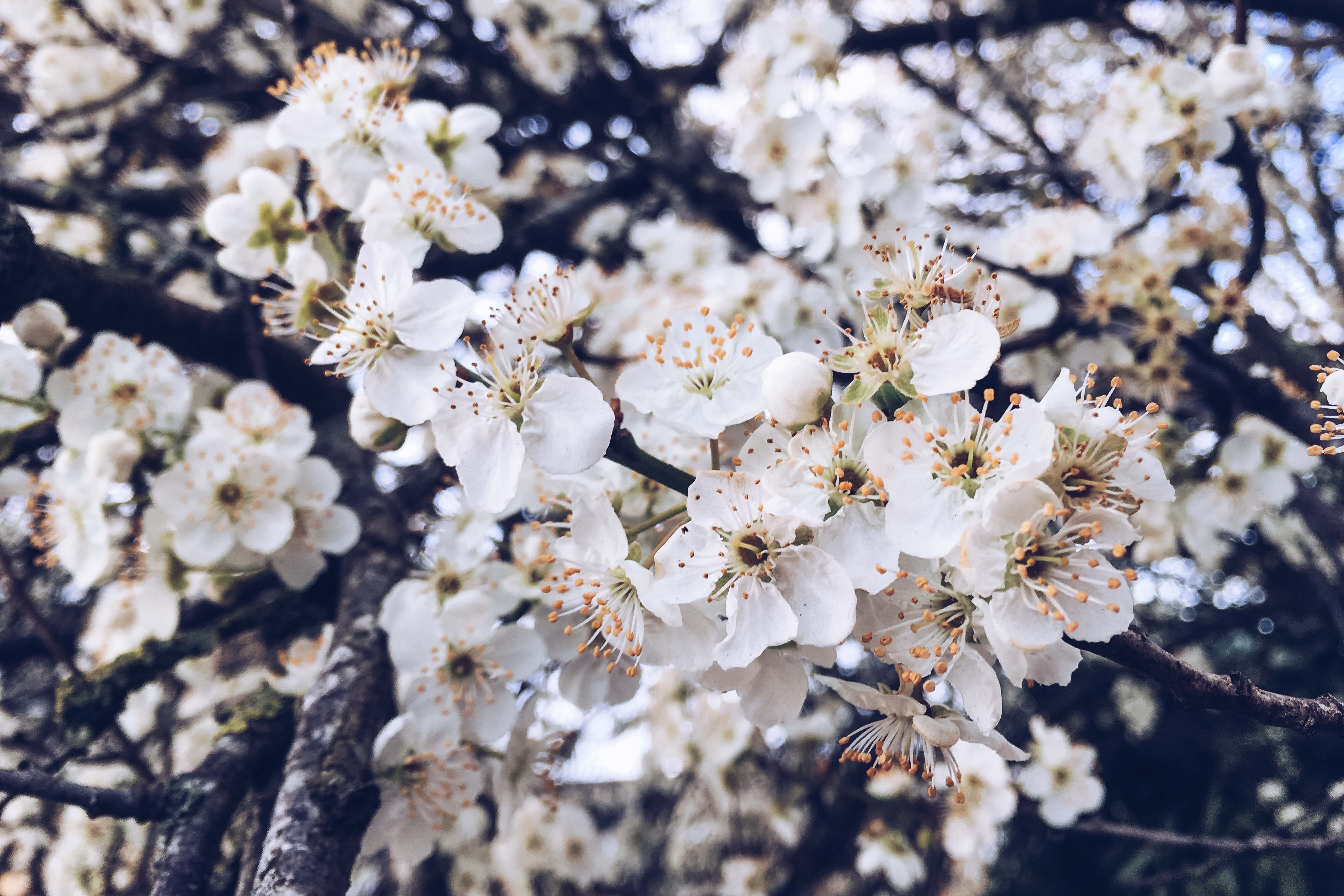 spring in southampton - her little journal