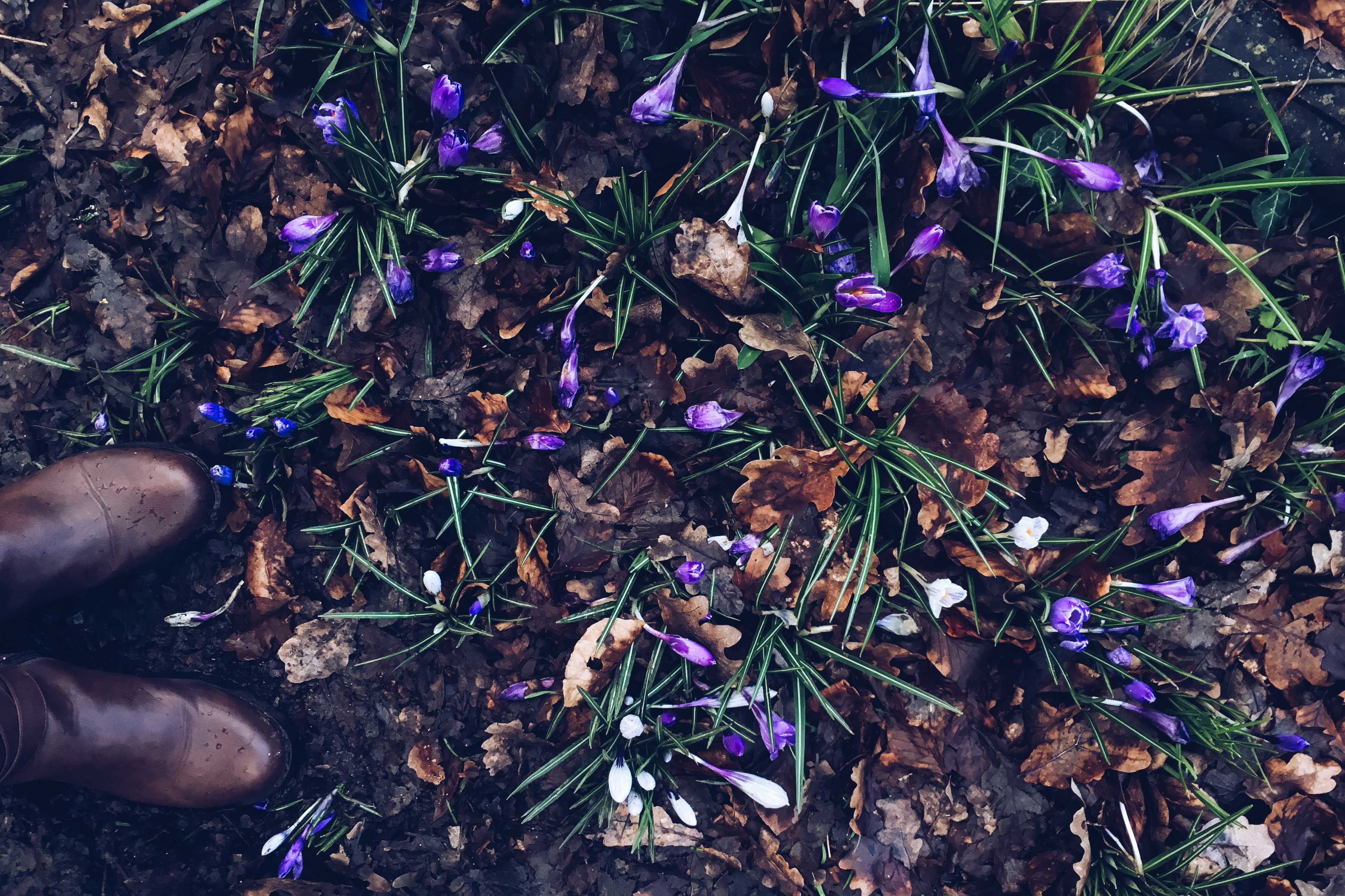 spring in southampton - her little journal