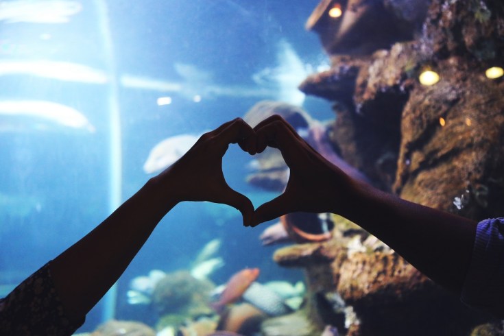 engagement-zahra-jeff-dixie-thamrin-photography-8