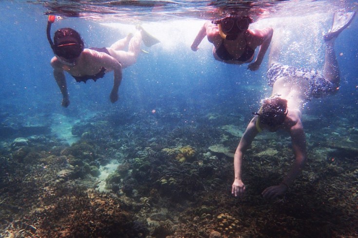 Snorkeling in Menjangan Island Bali 18