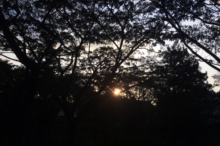 light at the end of the tunnel 3