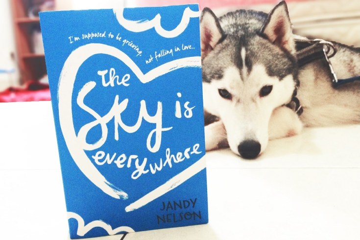 the sky is everywhere 3