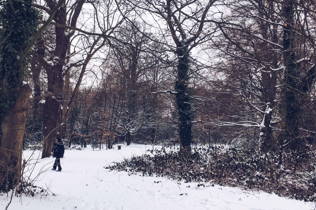 When the Snow Settled in&nbsp;Southampton