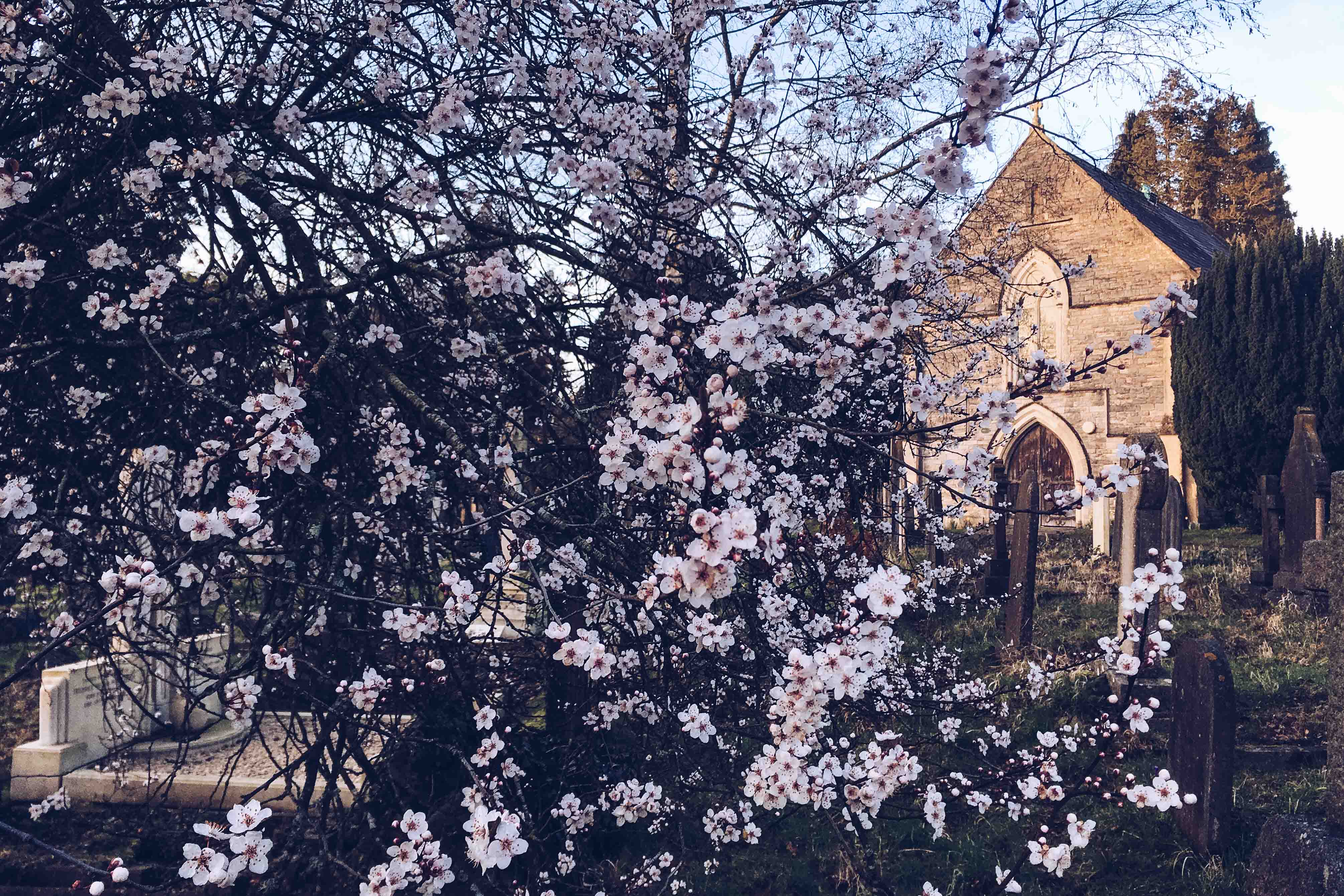 spring in southampton - her little journal