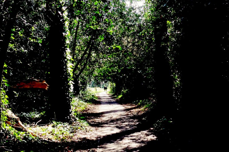 Photo 29-03-2014 13 24 36