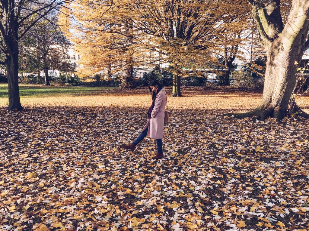 Autumn in Southampton