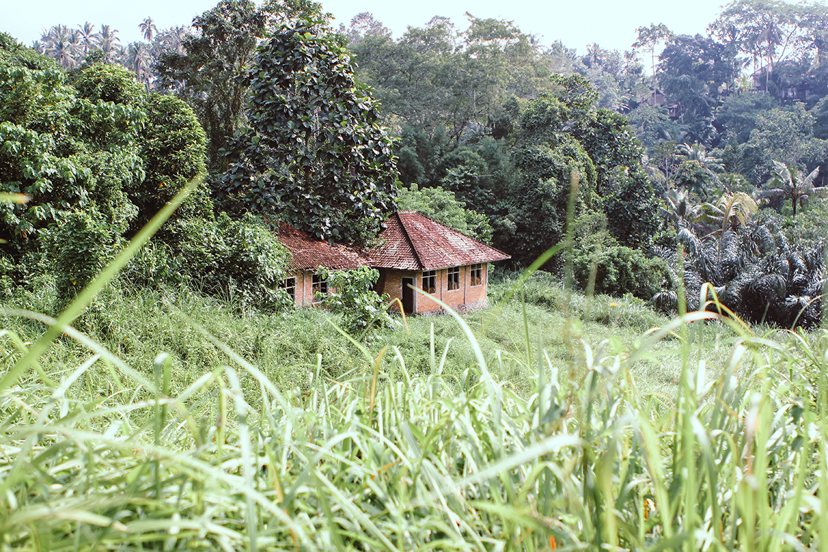 Campuhan Ridge Ubud (26)