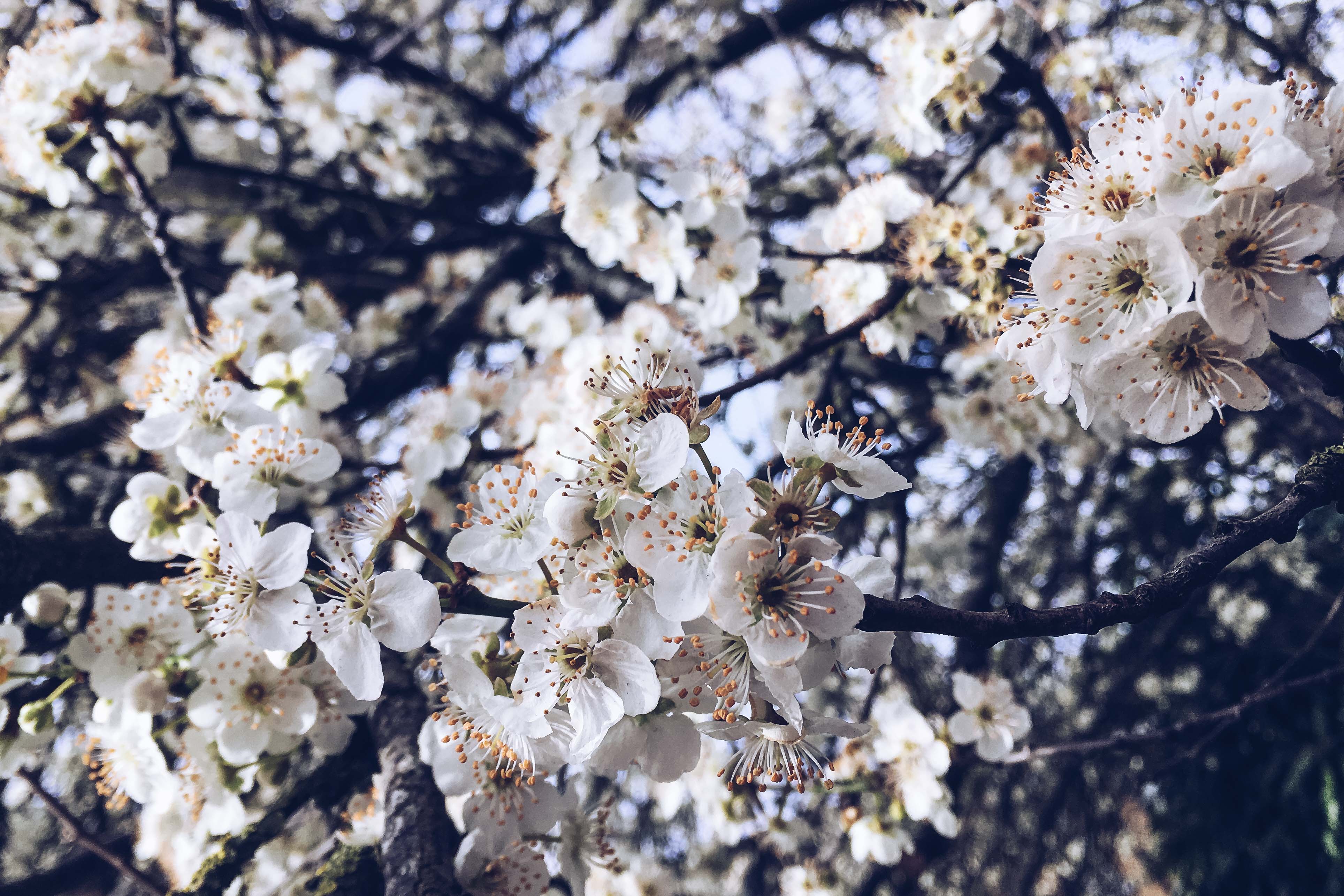 spring in southampton - her little journal
