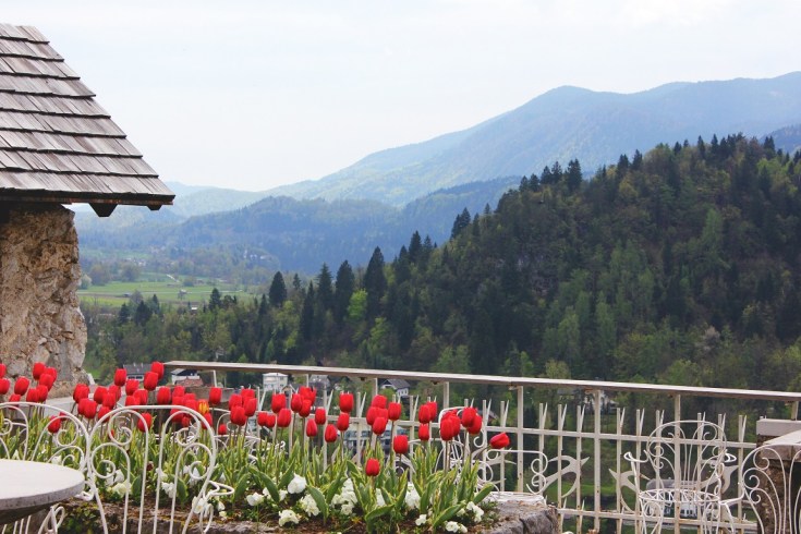 taking a leap of faith 5