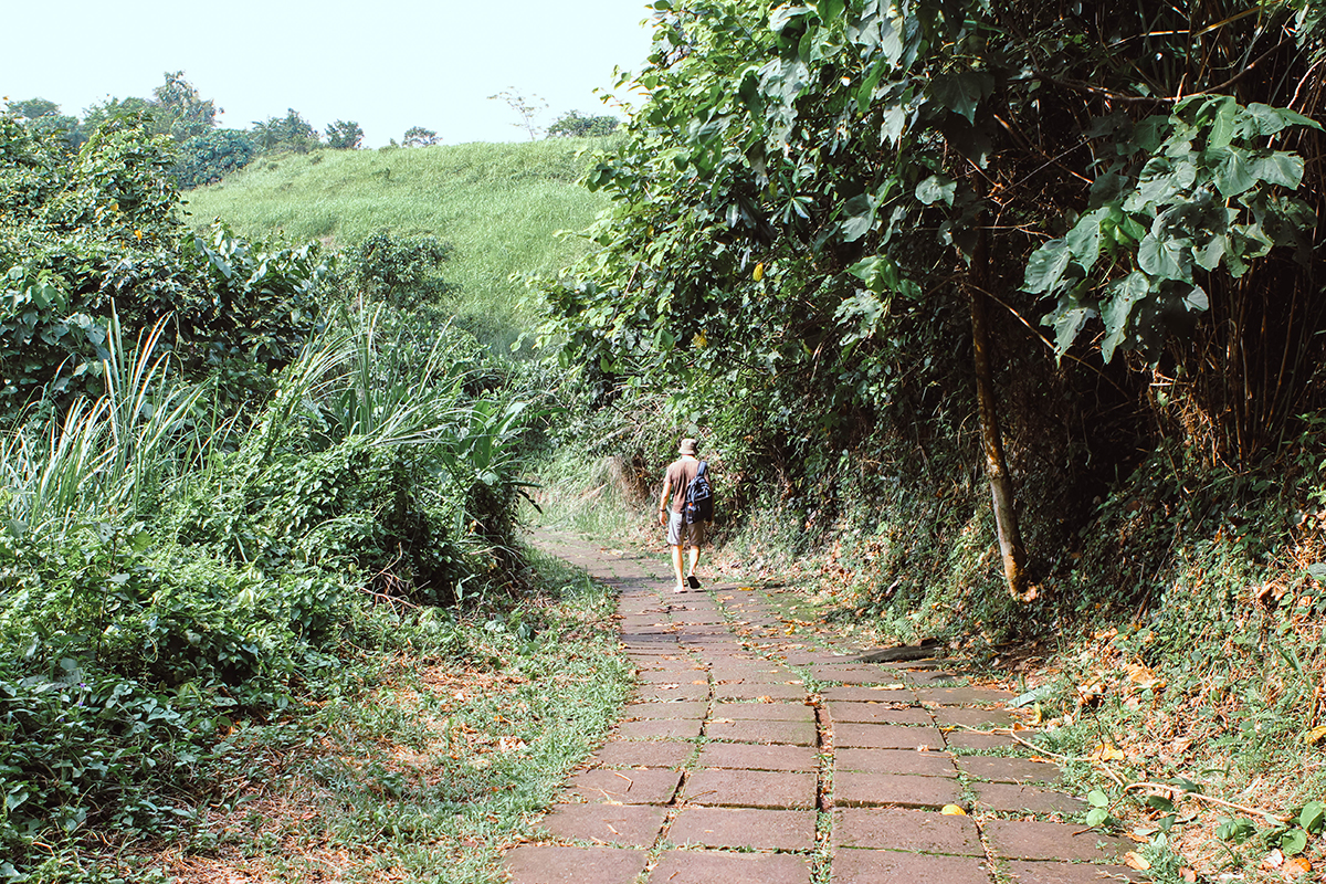 Campuhan Ridge Ubud (25)