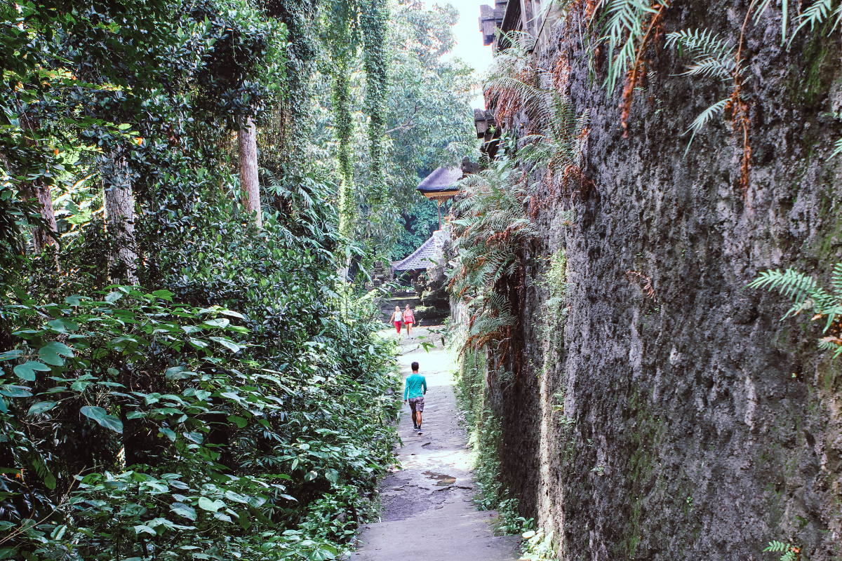 Campuhan Ridge Ubud (27)