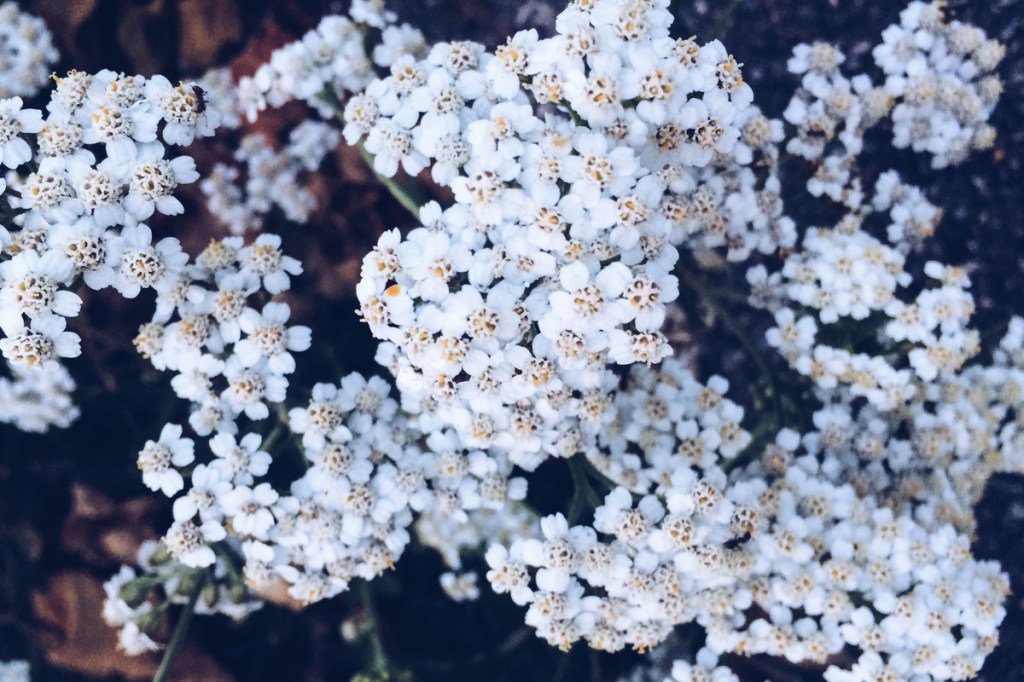 5 Rookie Mistakes to Avoid When Editing Your&nbsp;Photos