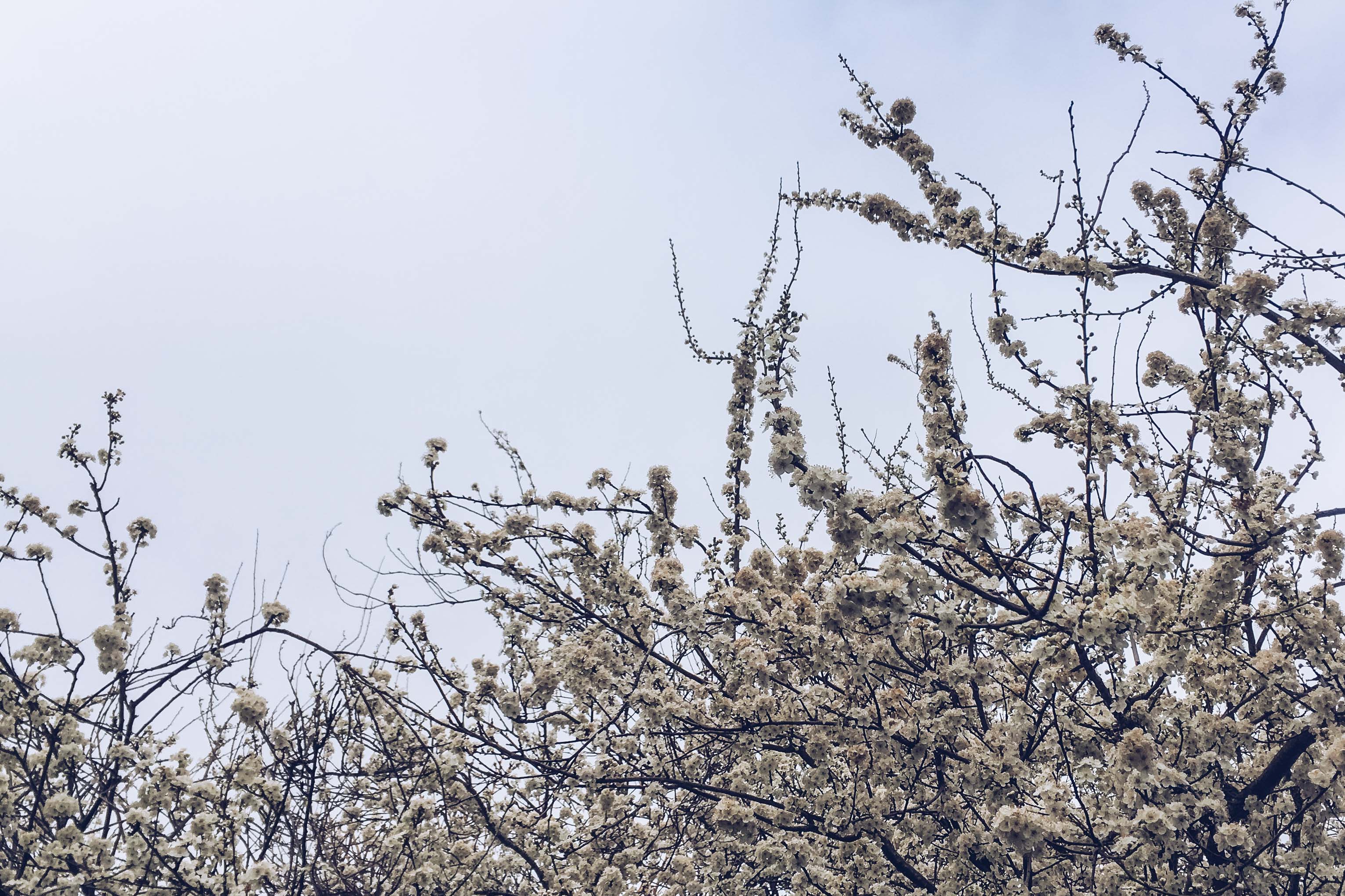 spring in southampton - her little journal