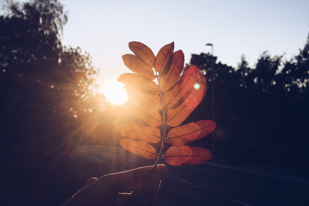 The First Summer in Sweden: A&nbsp;Diary