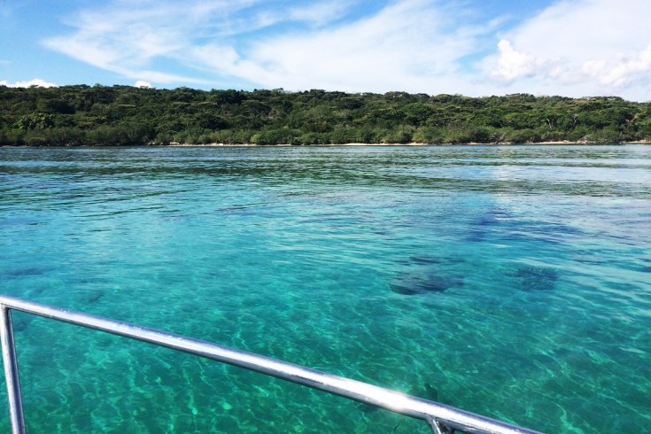 Snorkeling in Menjangan Island Bali (22)