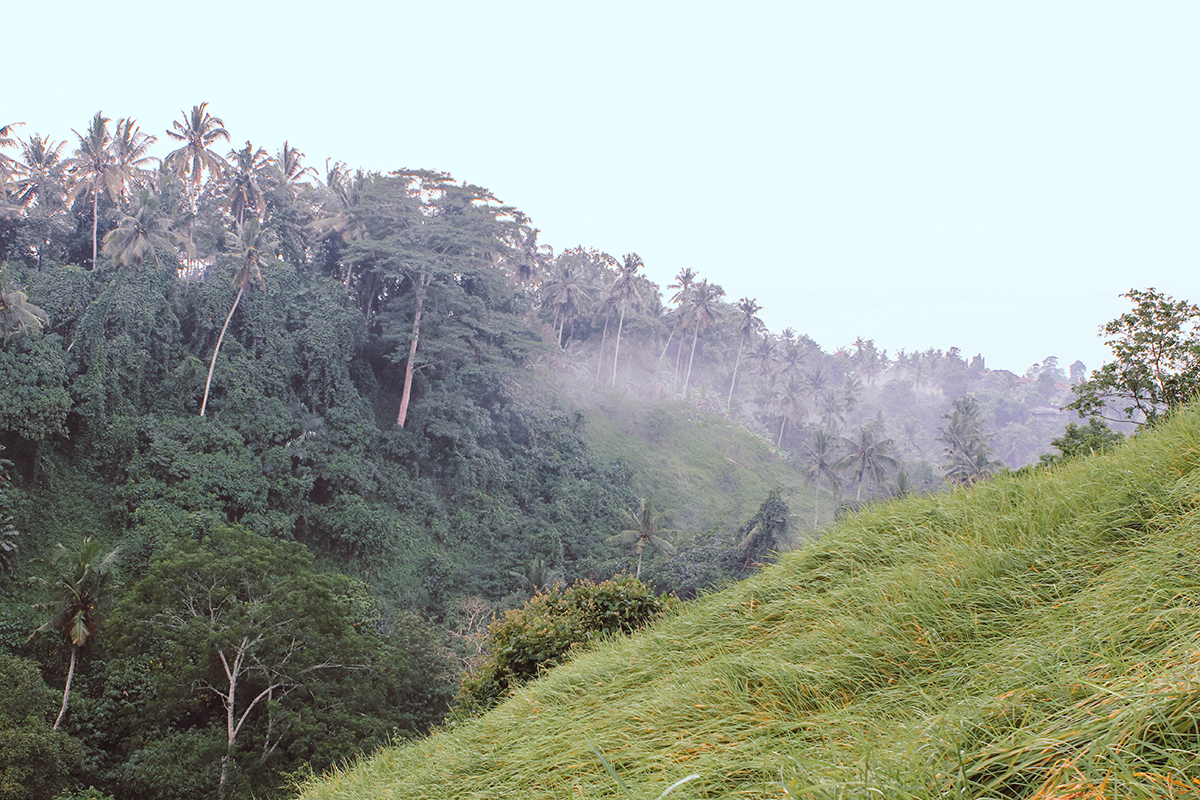 Campuhan Ridge Ubud (3)
