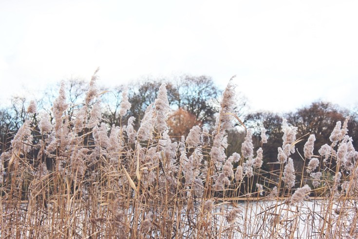 taking a leap of faith 4