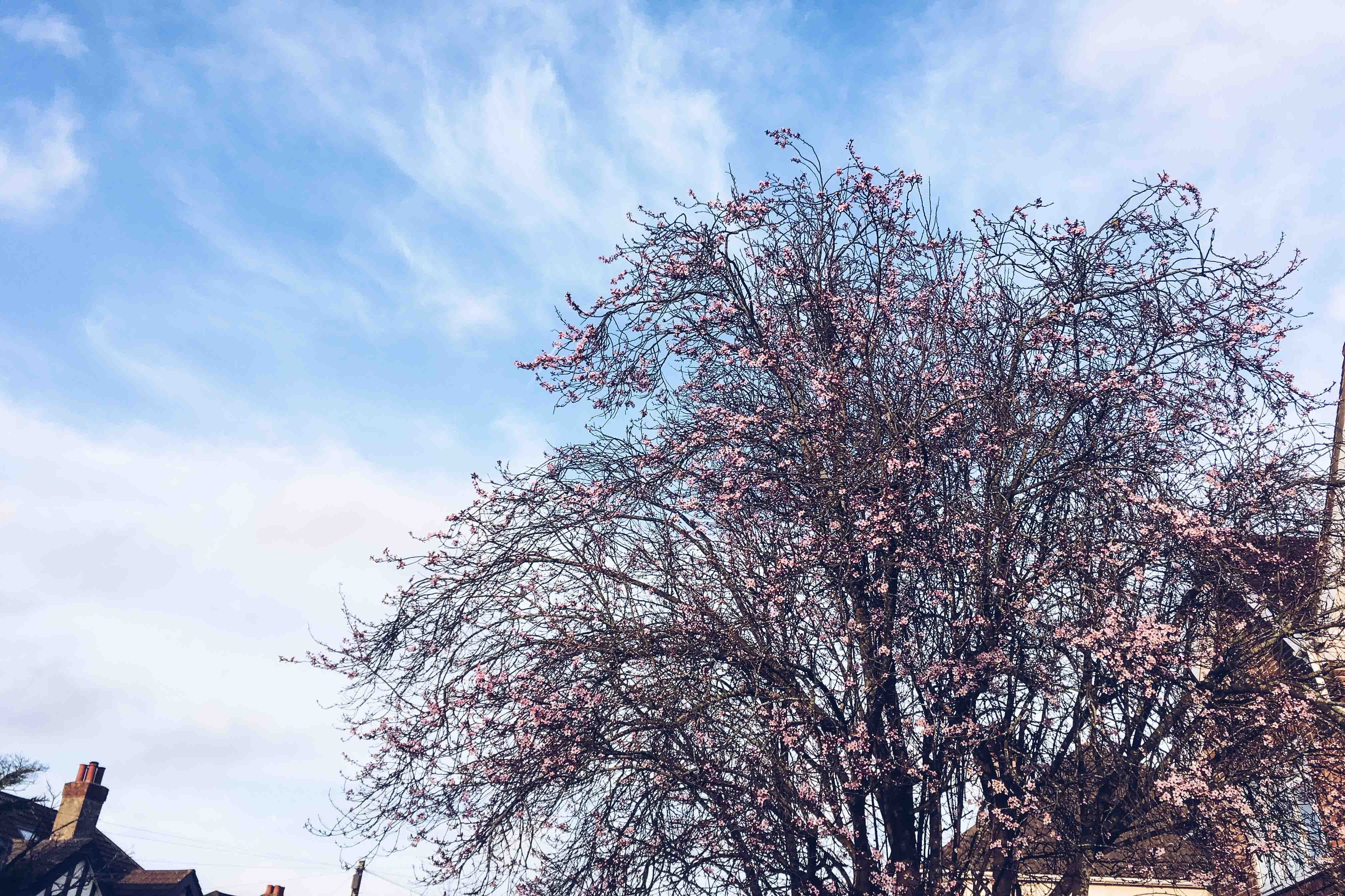 spring in southampton - her little journal