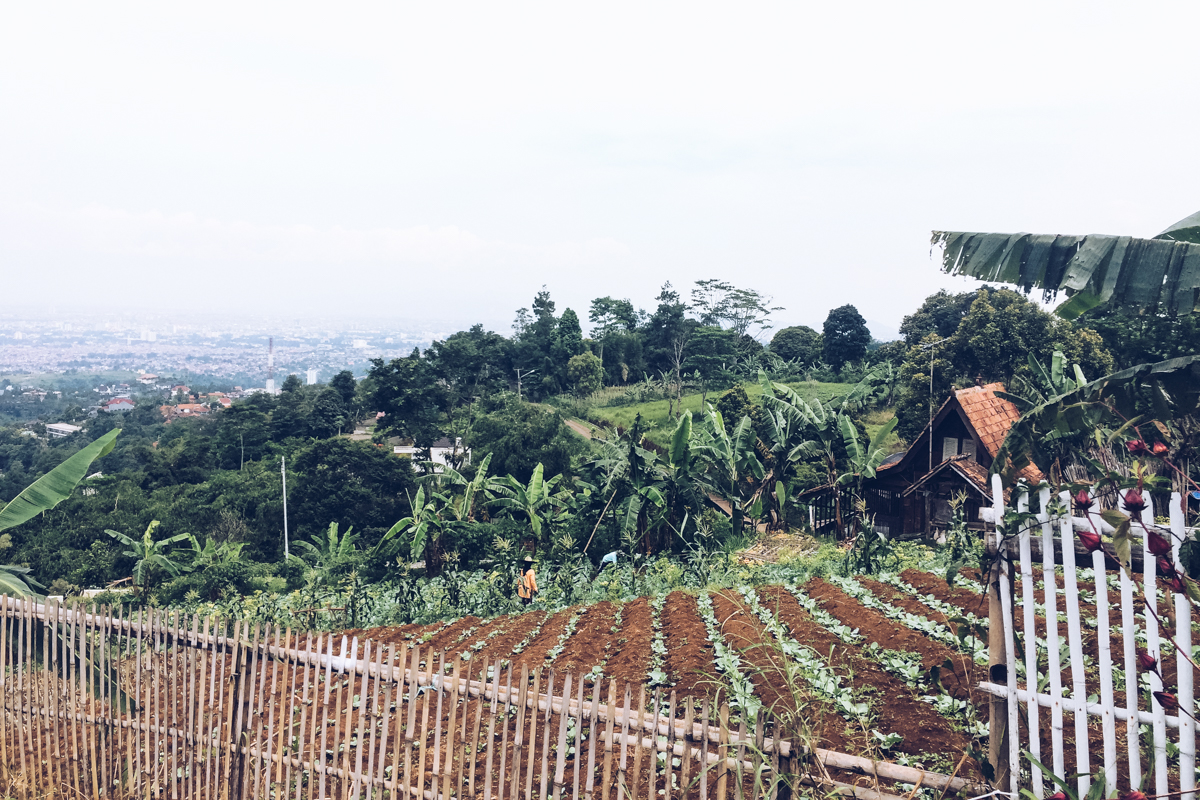 warung langit bandung