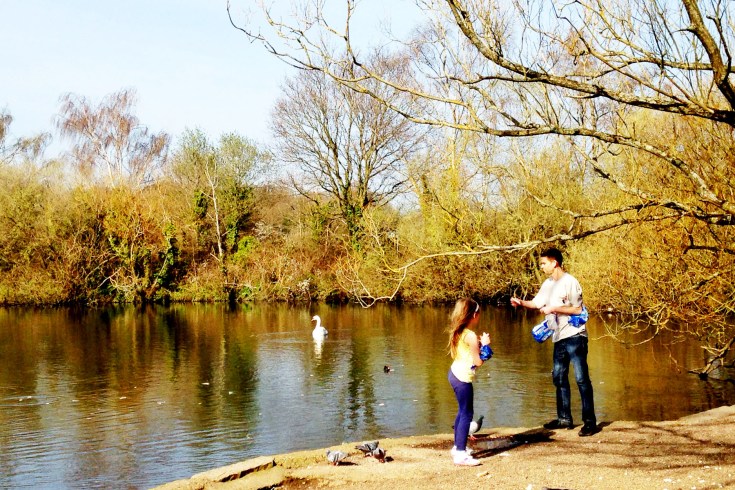 Photo 29-03-2014 14 52 37