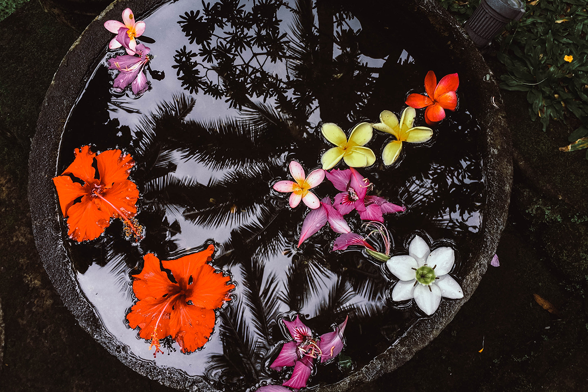 Ubud Bali favorites (4)