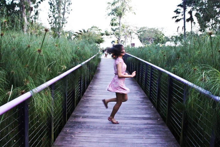 gardens by the bay 15