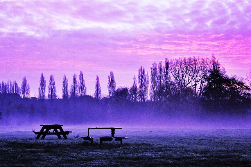 A Walk Down Memory&nbsp;Lane