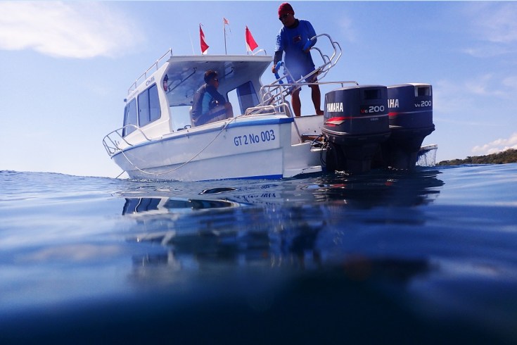 Snorkeling in Menjangan Island Bali 13