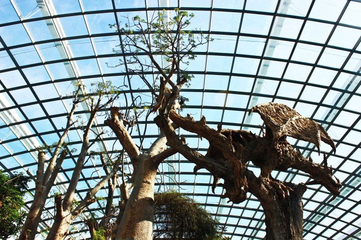 gardens by the bay 58