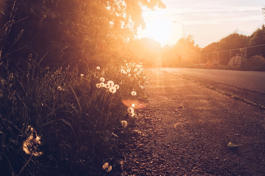 Summer Days in&nbsp;Gothenburg
