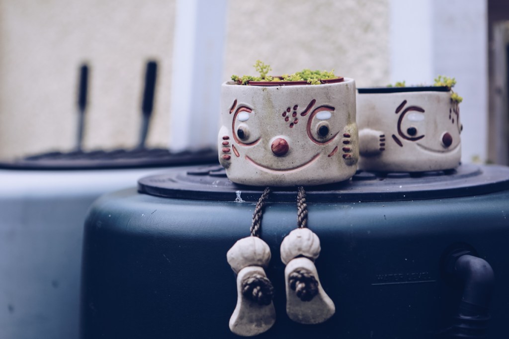 Lost in Translation: The British Words That Fooled&nbsp;Me