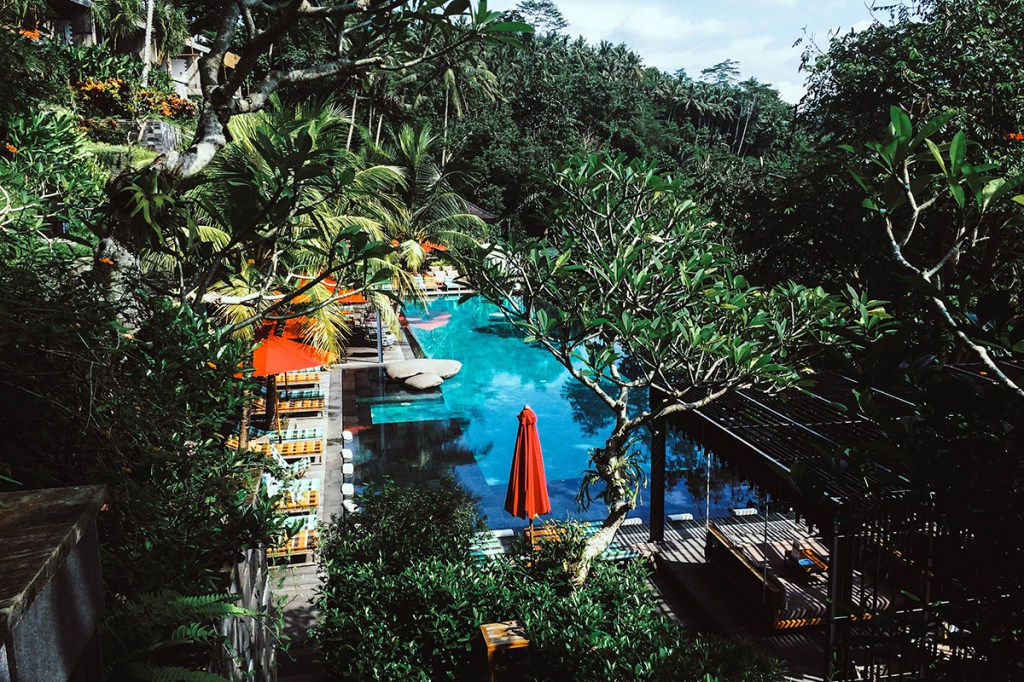 7 Ubud Favorites