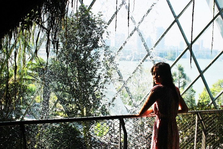 gardens by the bay 54